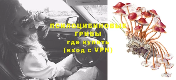 ешки Белоозёрский