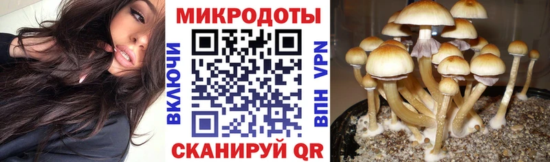 Псилоцибиновые грибы мухоморы  магазин    Краснознаменск 